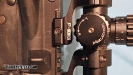 Ruger 4