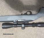 Ruger 10/22