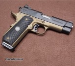 Wilson Combat Professional LWT .45 ACP