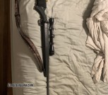 Savage .270